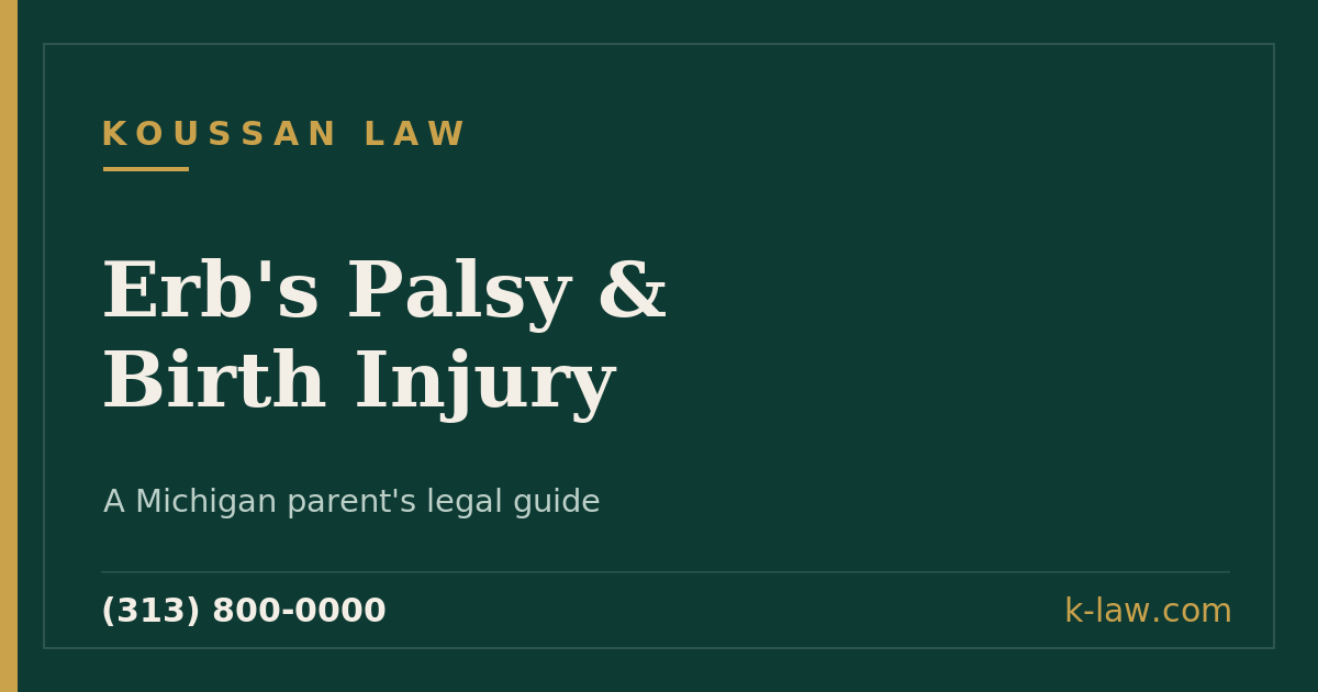 Erb's Palsy and Brachial Plexus Birth Injuries in Michigan: A Parent's Complete Guide
